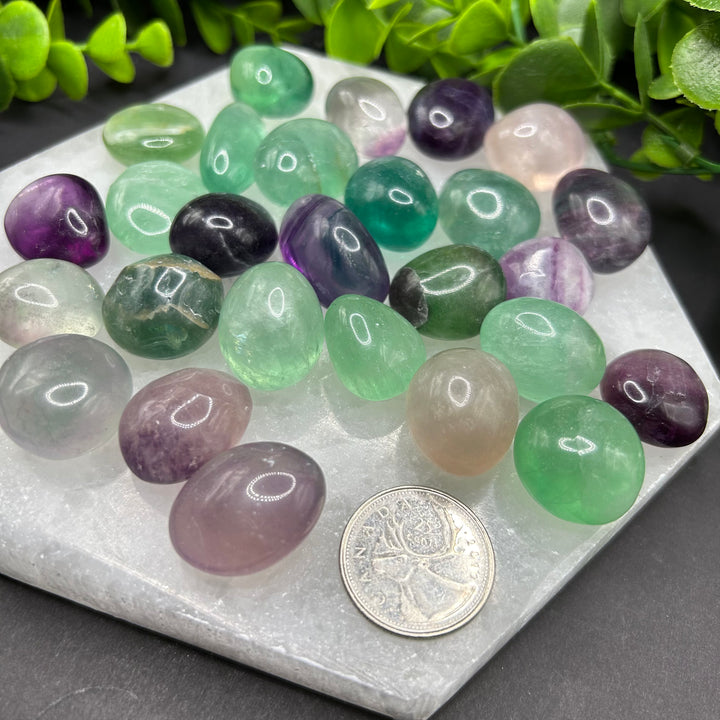 Fluorite Tumbled Stone (S)