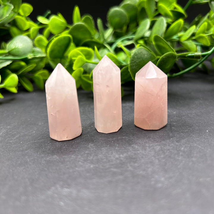 Rose Quartz Polished Mini Points