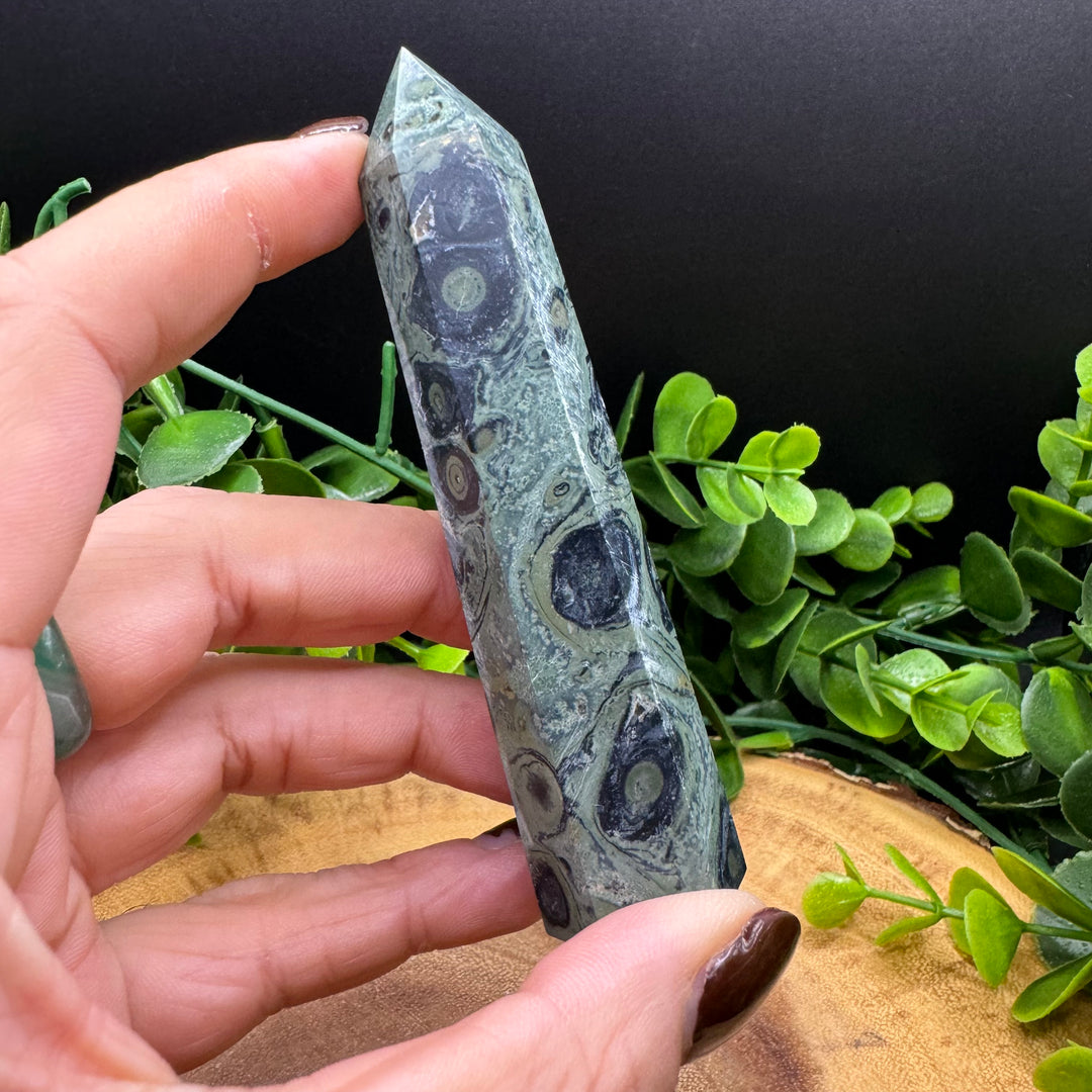 Kambaba Jasper Polished Point #1