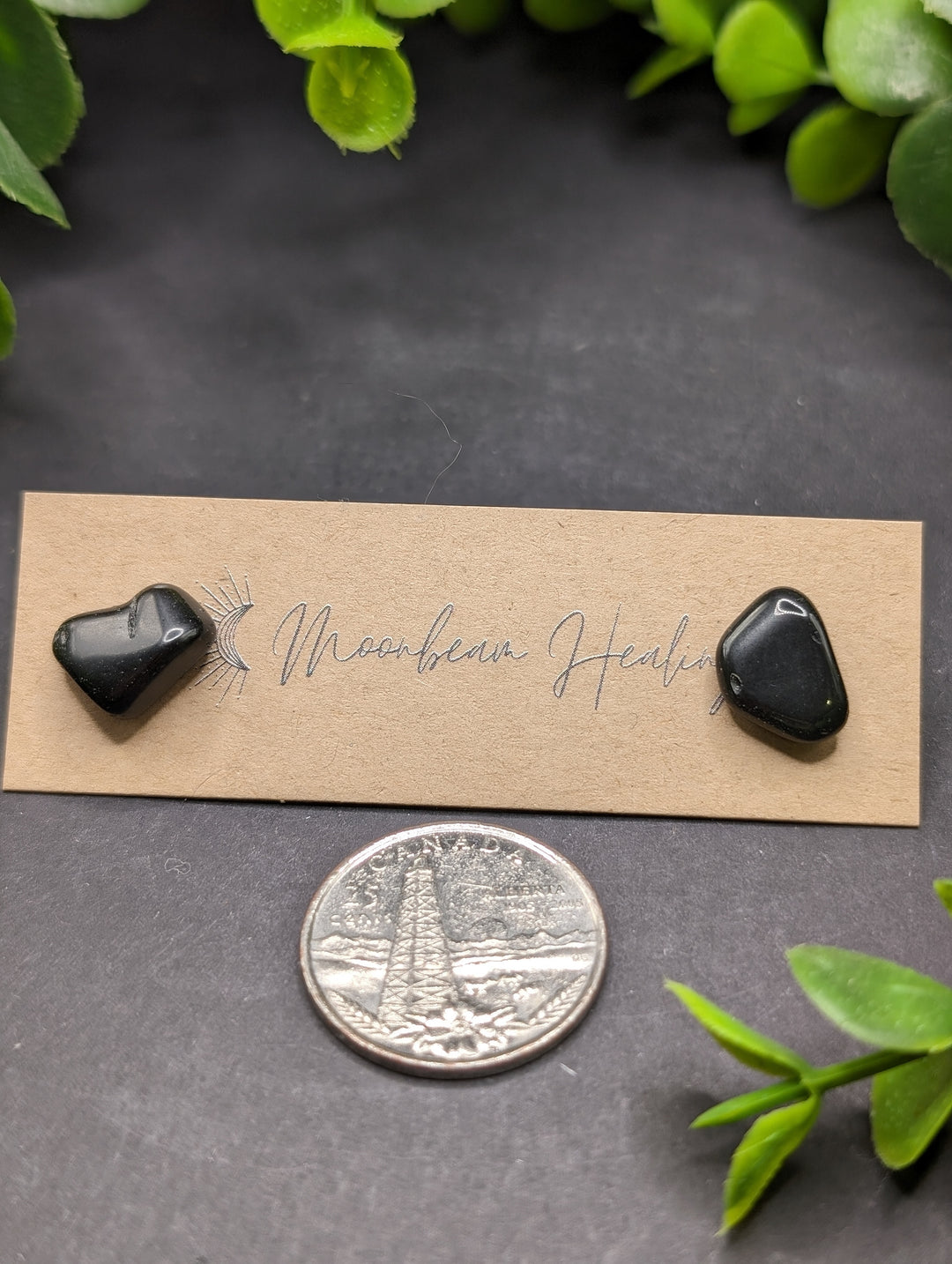 Obsidian Polished Earrings