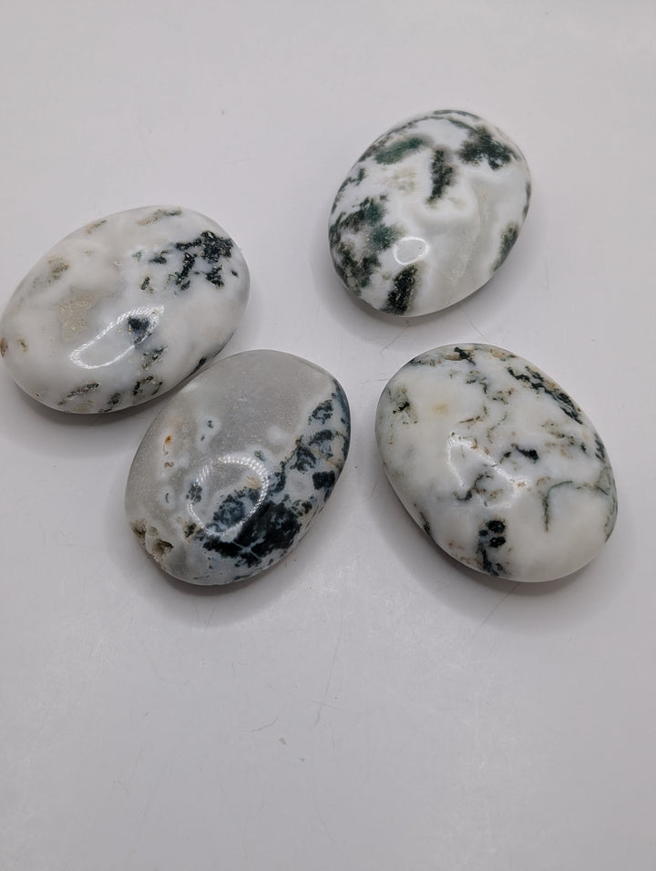 Moss Agate Palm Stone