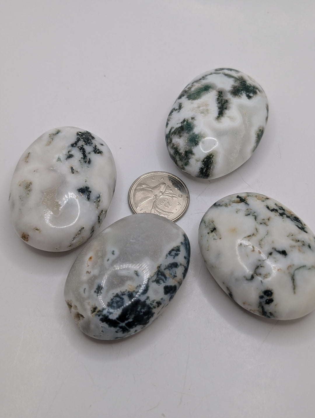 Moss Agate Palm Stone