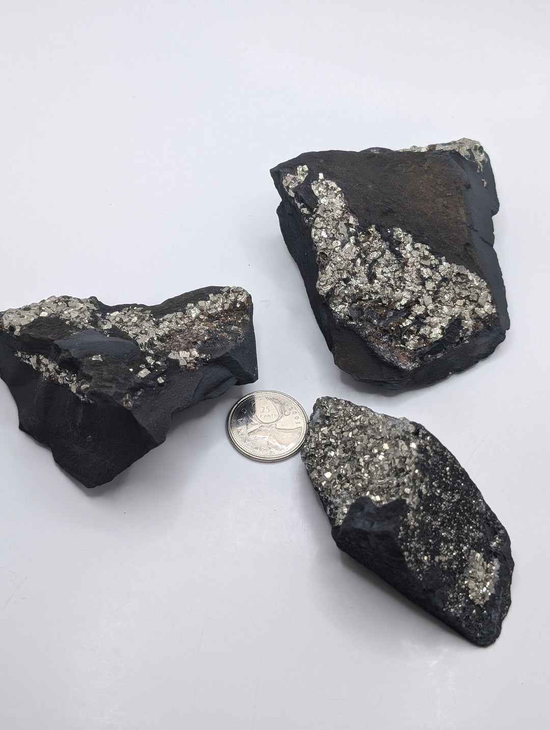 Pyrite on Shungite (Lrg)