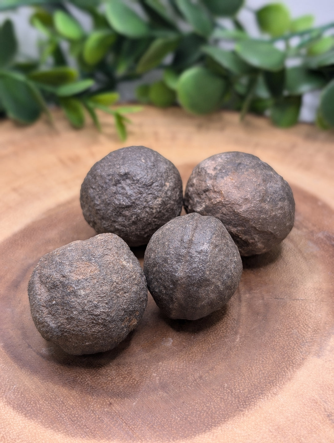 Shaman Stones (Mochi Balls) Large