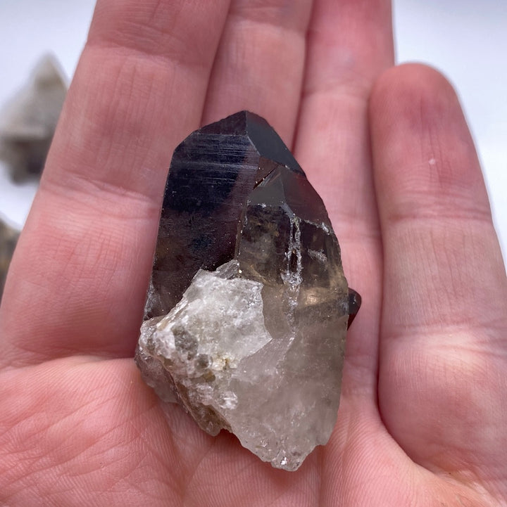 Smokey Quartz Clusters (Small)