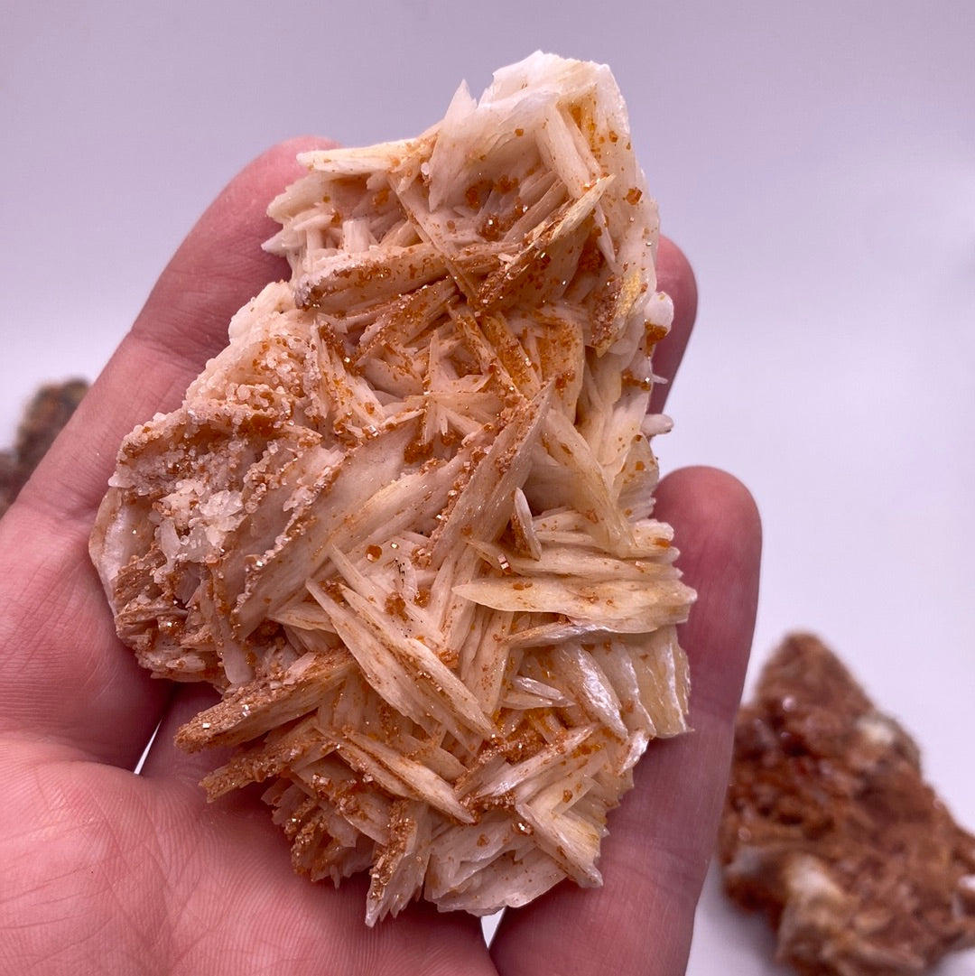 Barite With Vandinite Specimens