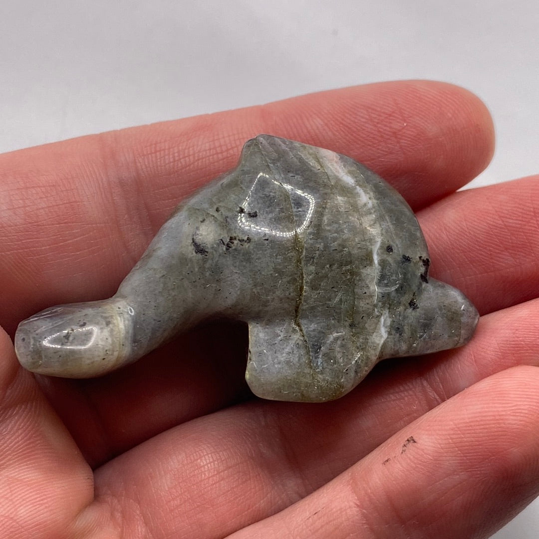 Crystal Dolphin Carving