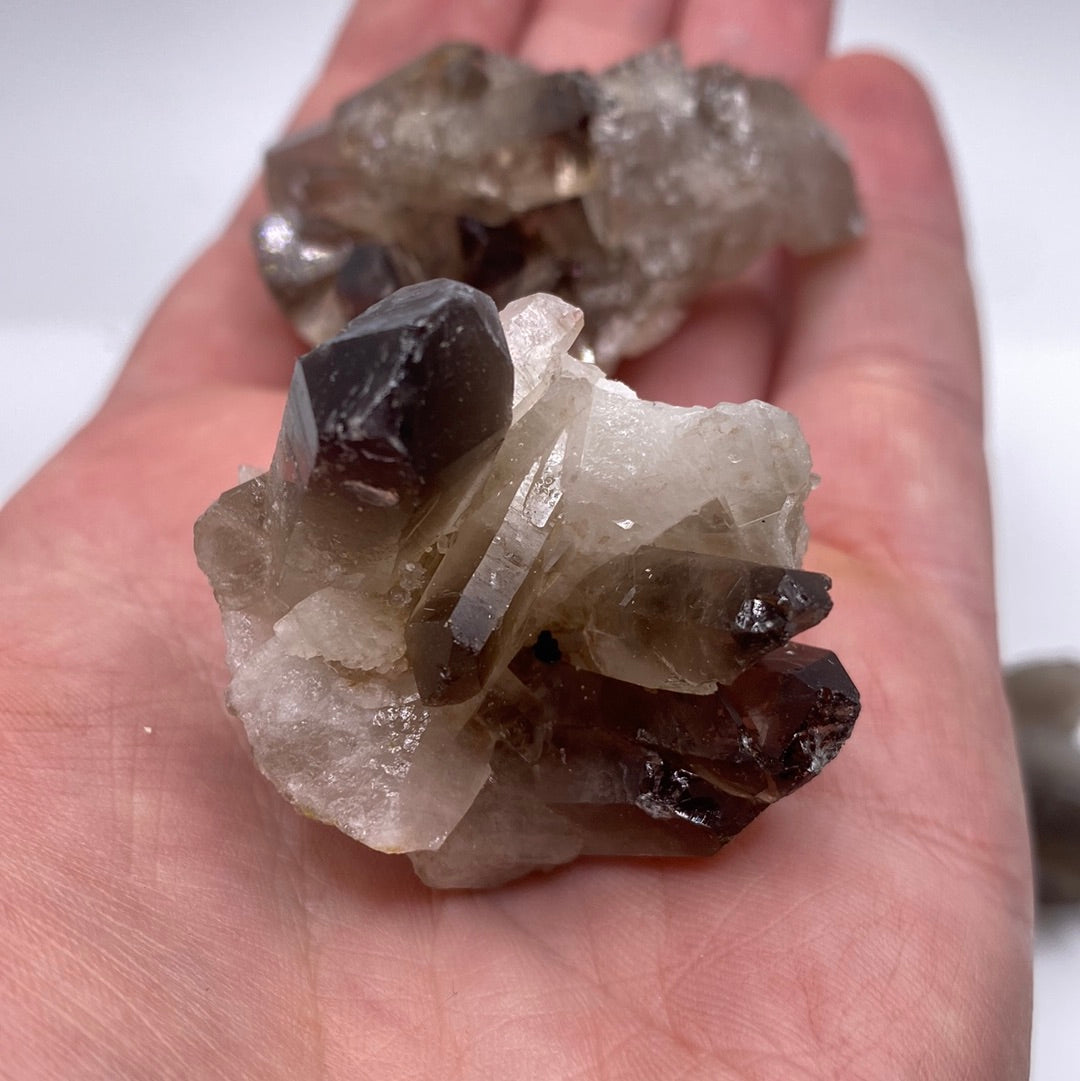 Smokey Quartz Clusters (Small)