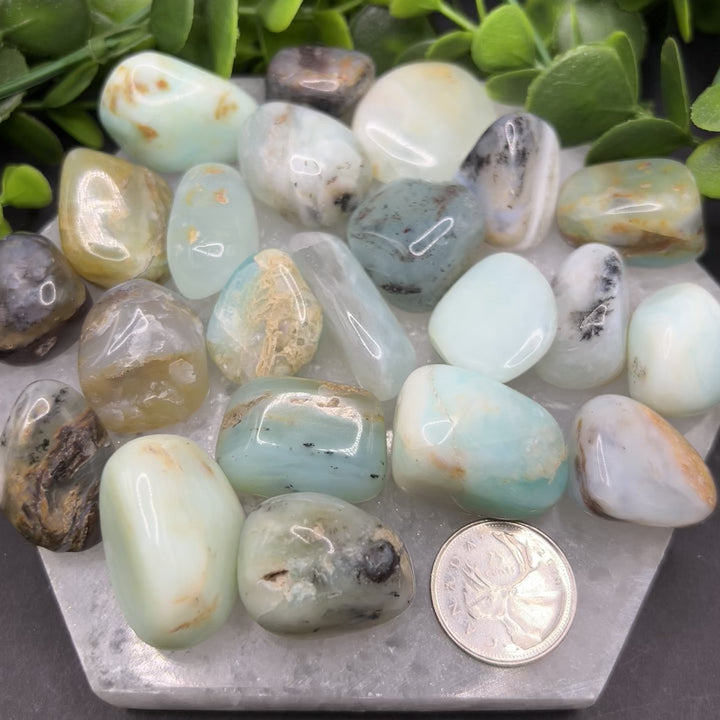 Blue Opal Tumbled Stone (M-L)