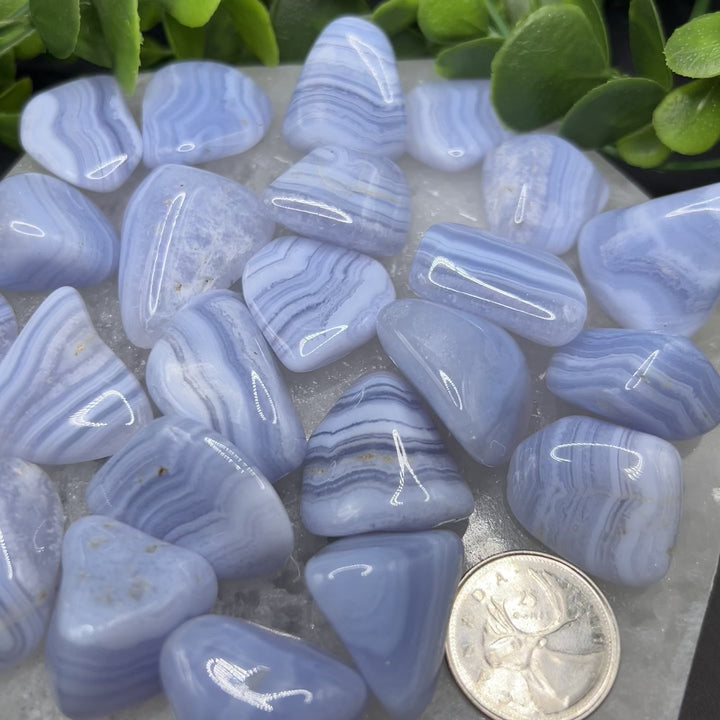 Blue Lace Agate Tumbled Healing Stone