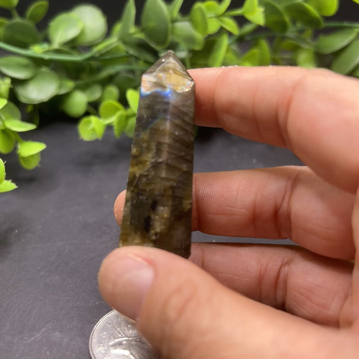 Labradorite Polished Point (#5)