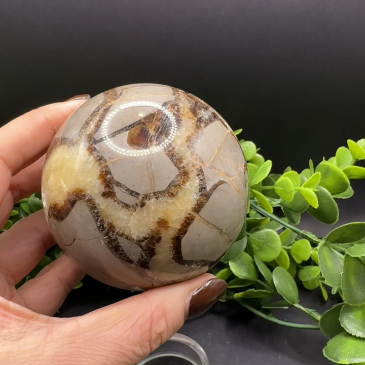 Septarian Sphere 80mm