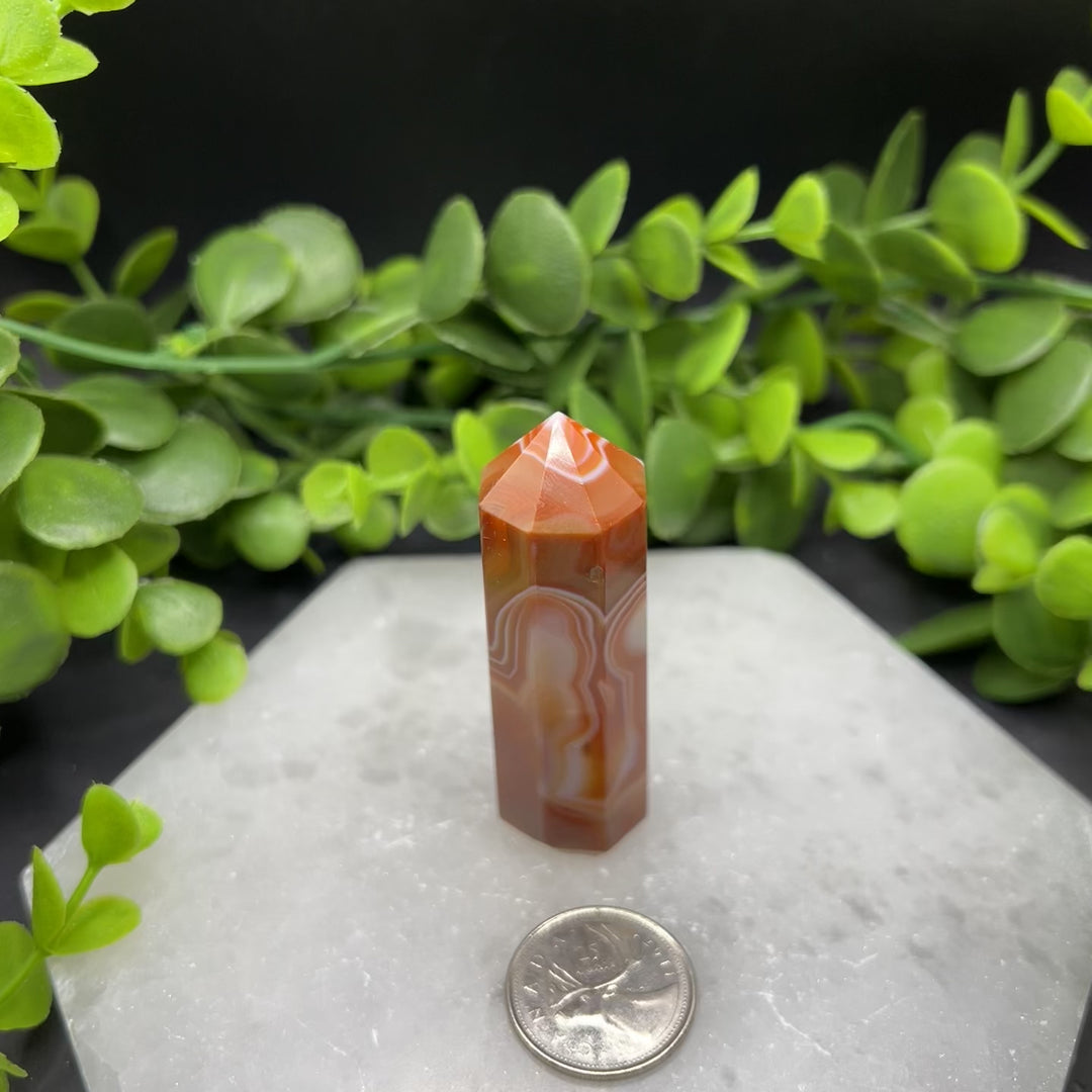 Carnelian Polished Point (#2)