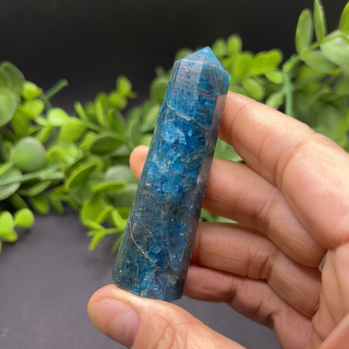 High Quality Blue Apatite Polished Point (#5)