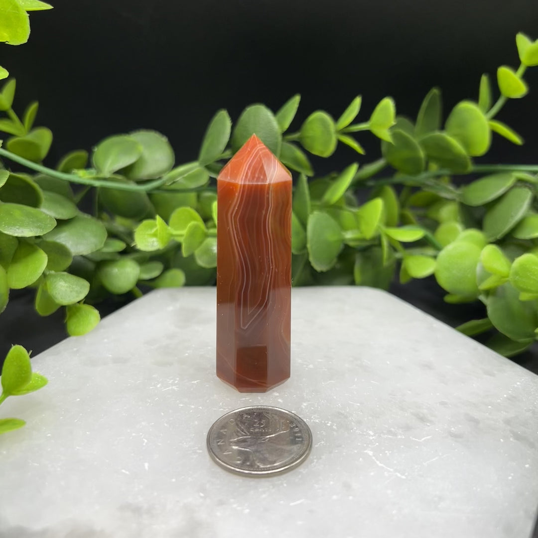 Carnelian Polished Point (#8)