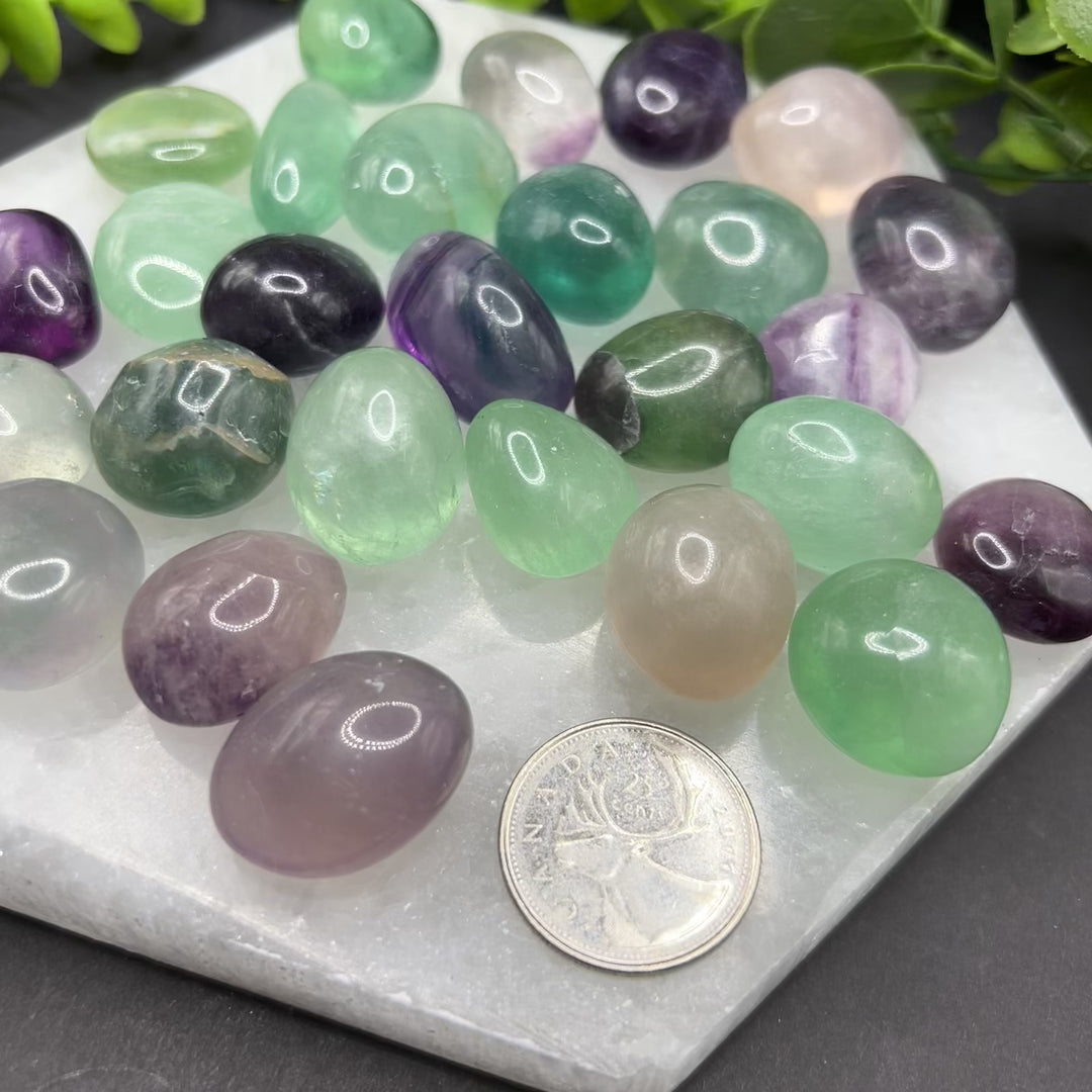 Fluorite Tumbled Stone (S)