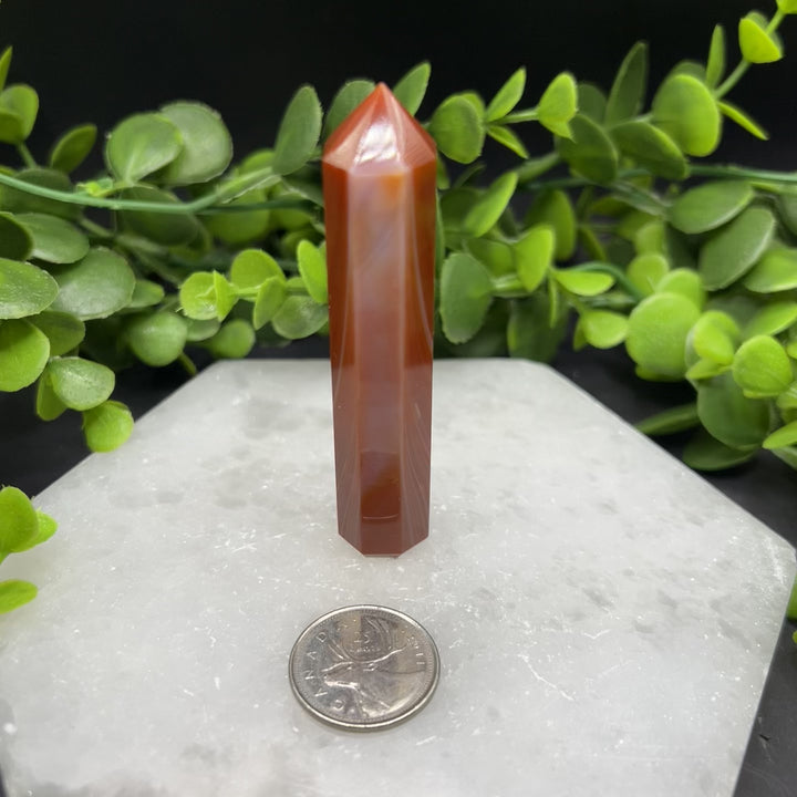 Carnelian Polished Point (#3)