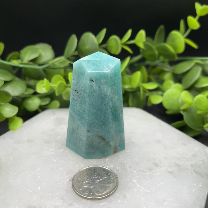 Amazonite Polished Point (#2)