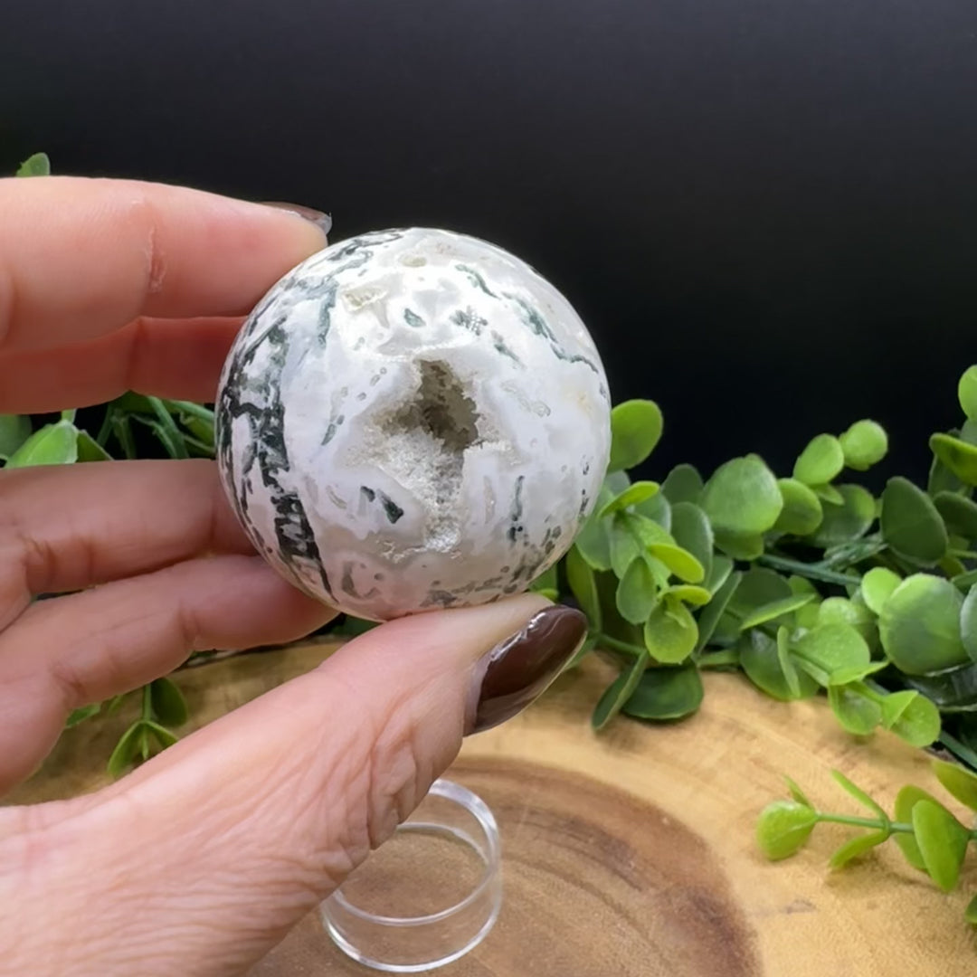 Tree Agate Sphere 45mm