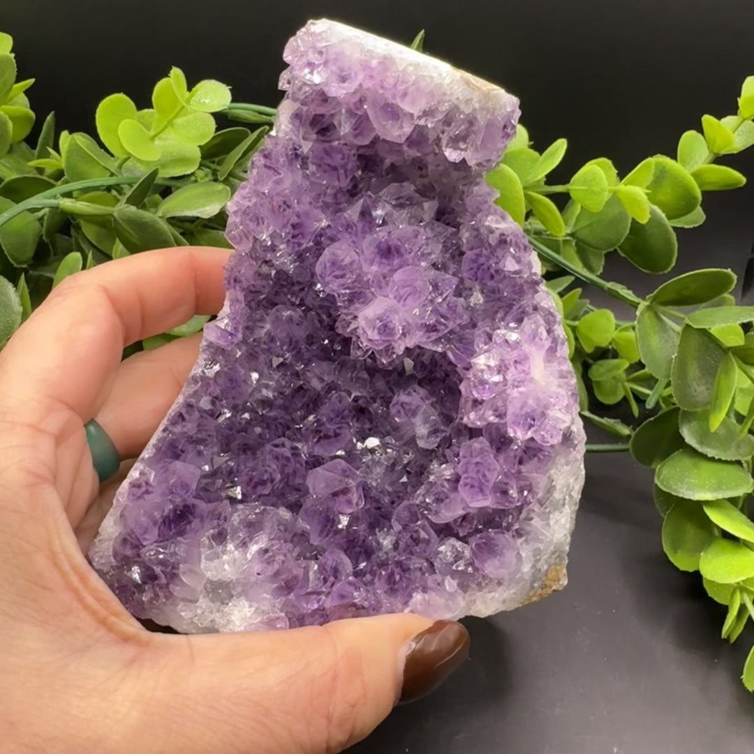 Amethyst Standing Cluster #1