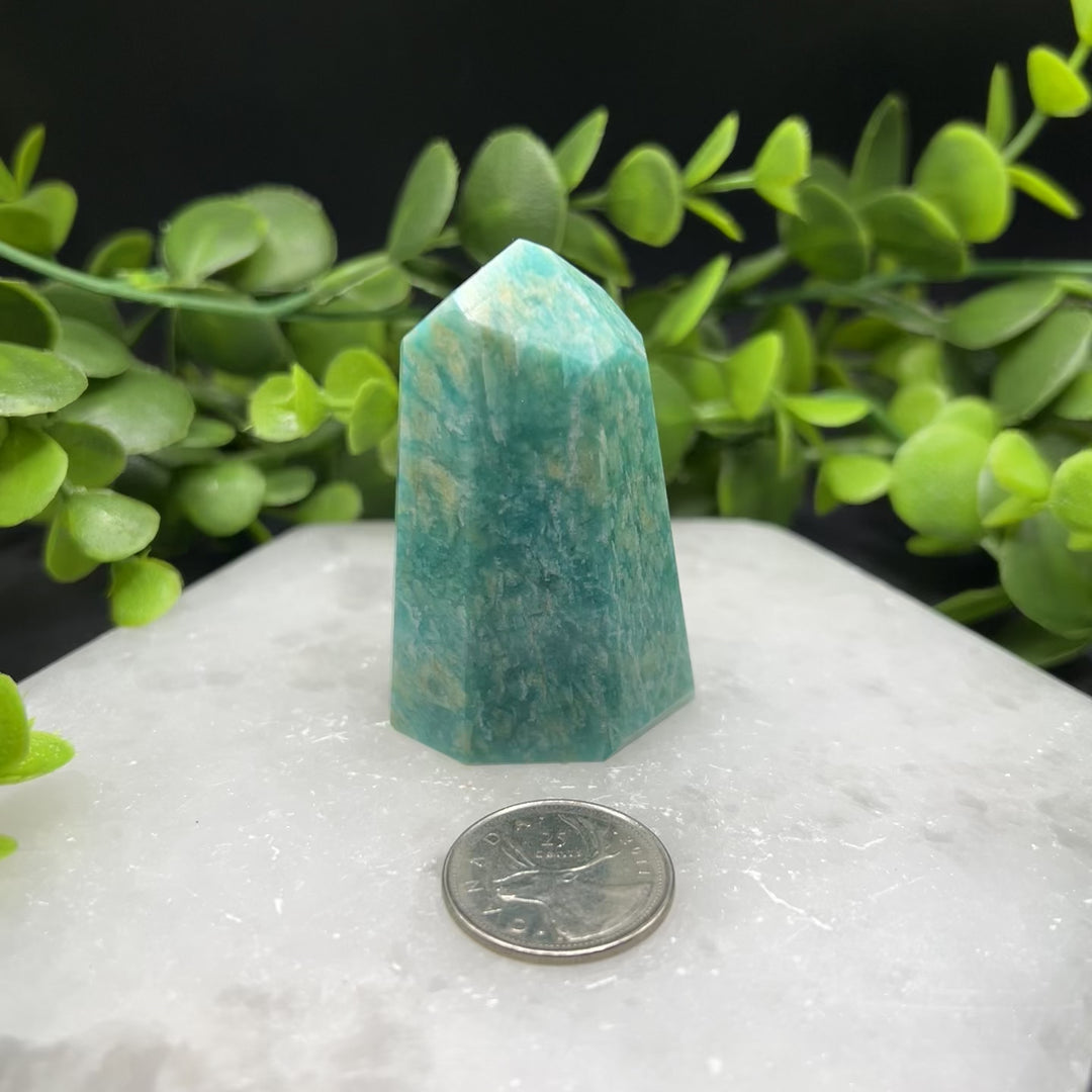 Amazonite Polished Point (#1)