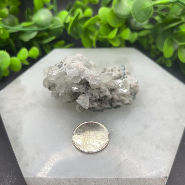 Diamond Apophyllite Zeolite Cluster(#8)