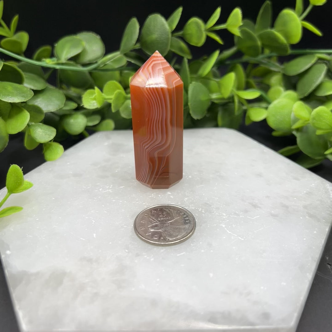 Carnelian Polished Point (#4)