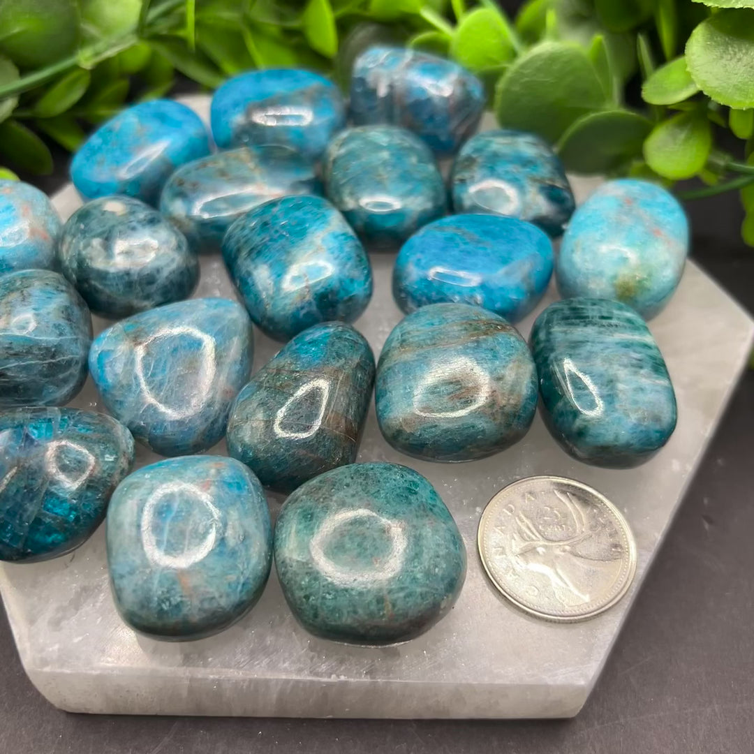 Blue Apatite Tumbled Stone