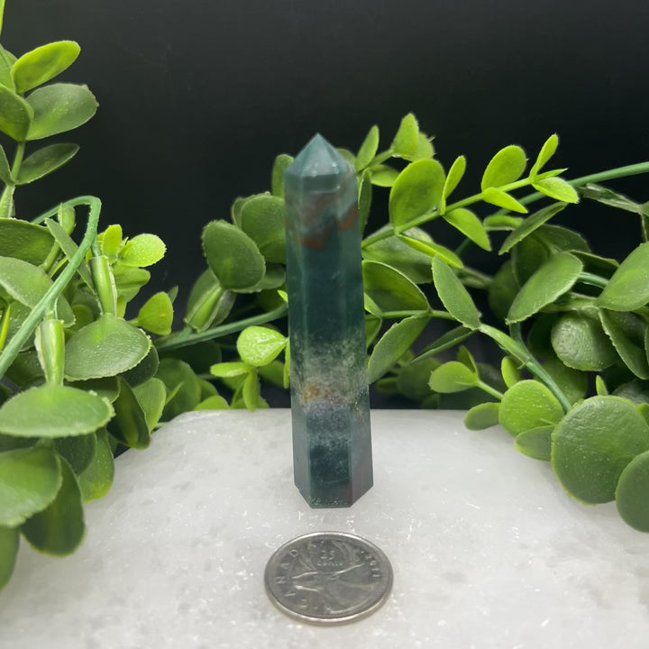 Bloodstone Polished Point(#2)