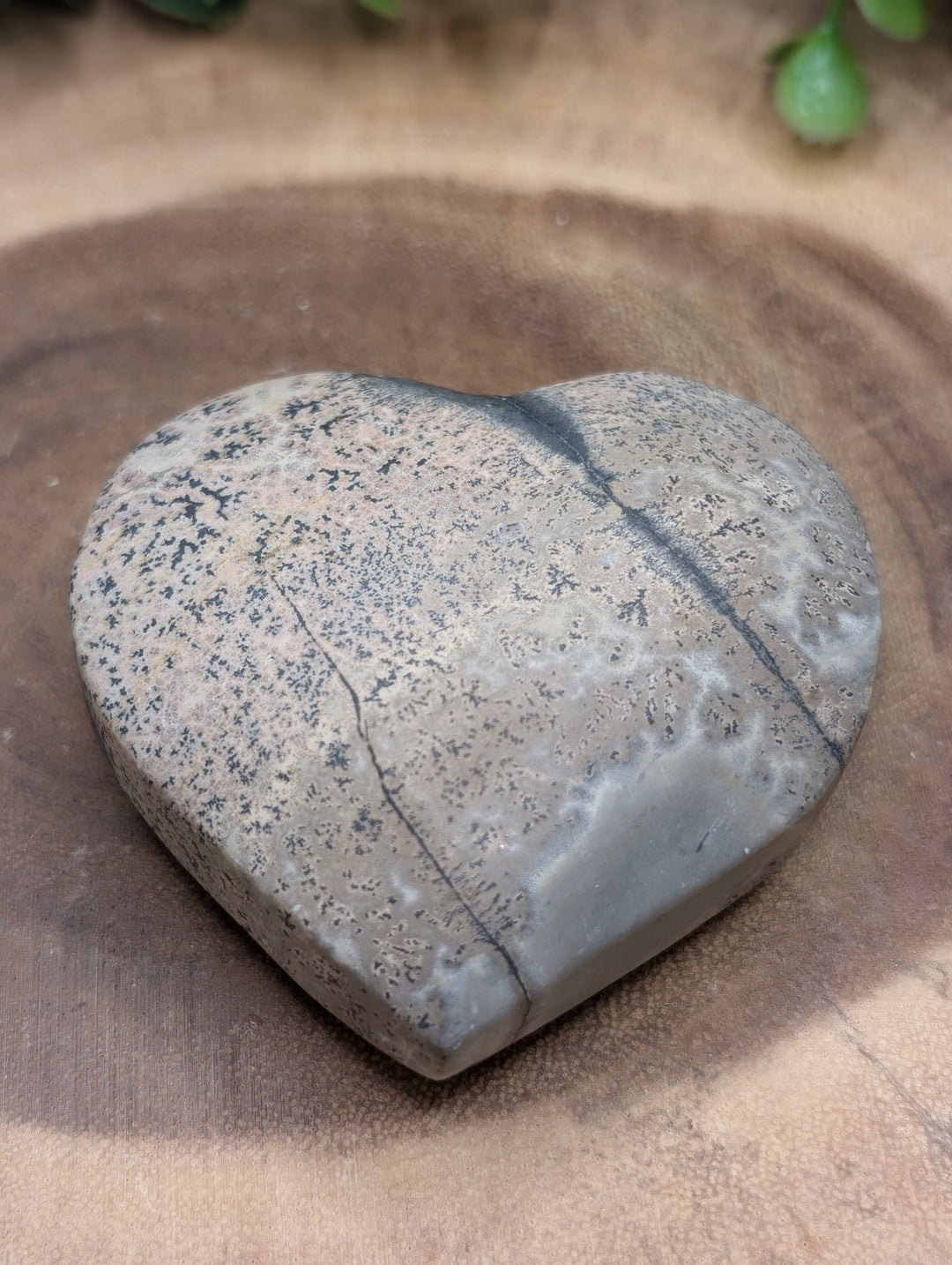 Dendritic Jasper Heart