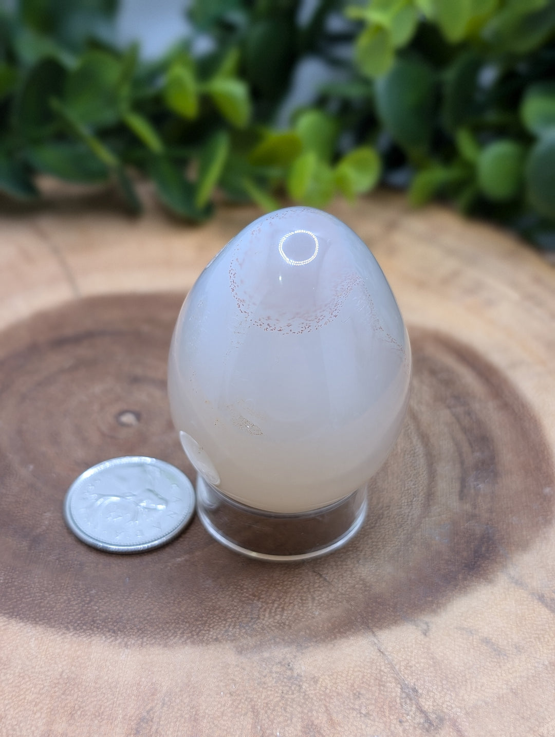 Flower Agate Egg #3