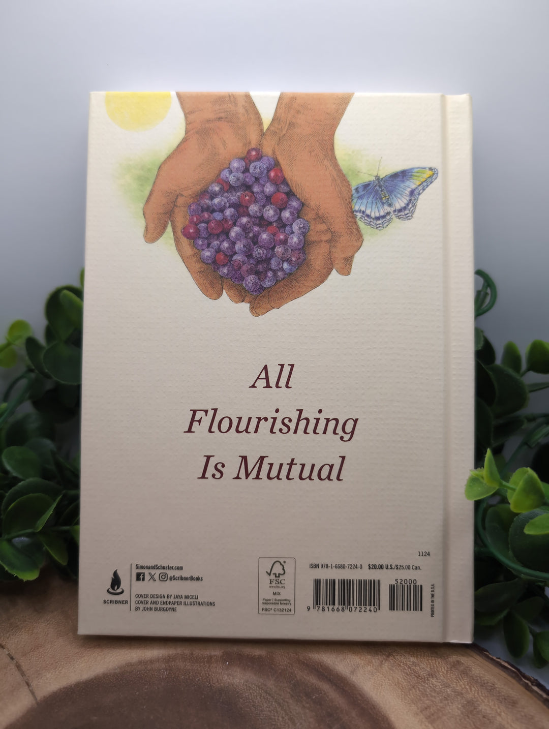 The Serviceberry