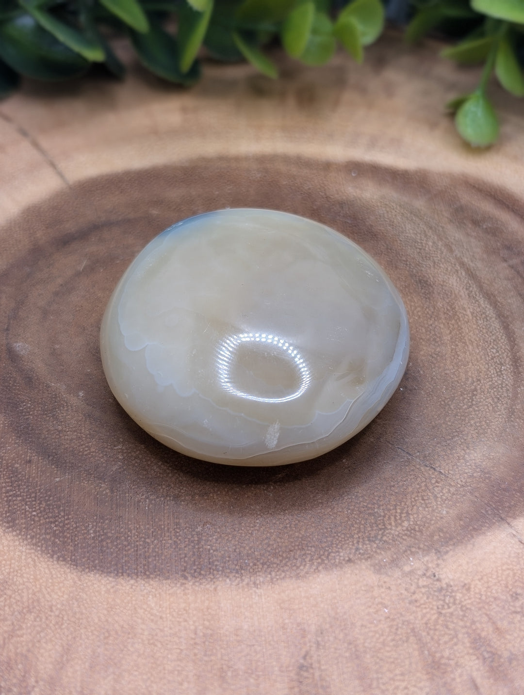 Agate Polished Palmstone