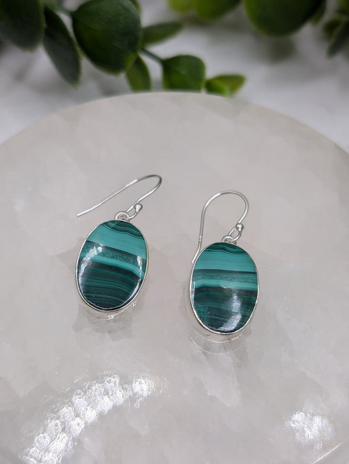 Malachite Sterling Silver Earrings