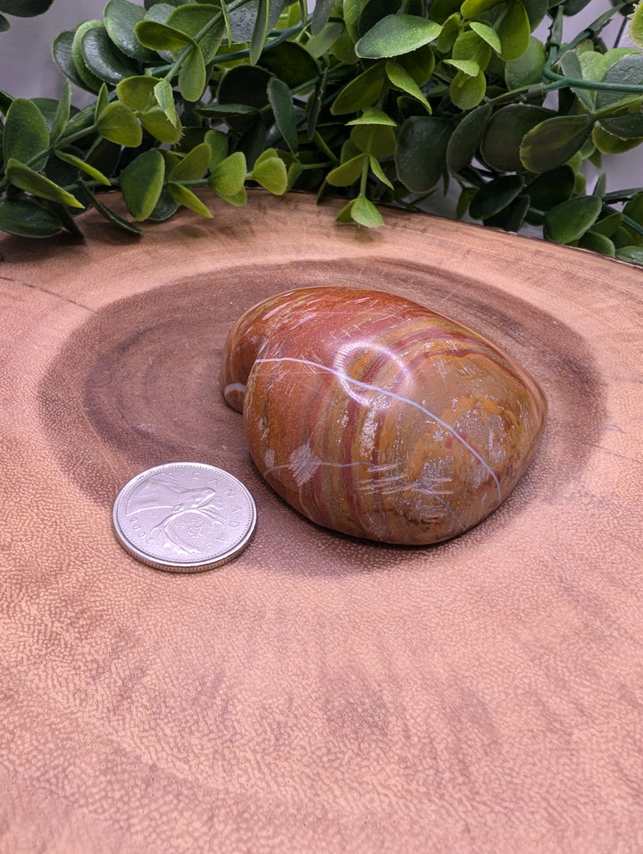 Petrified Wood Heart