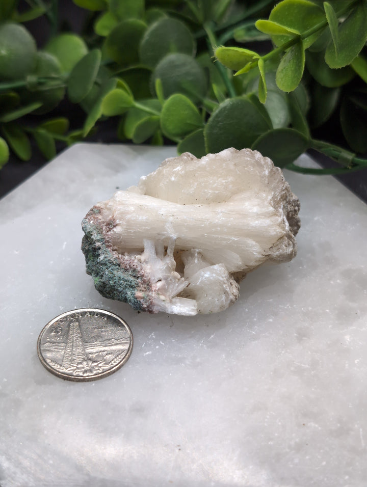 Apophyllite Zeolite Cluster(#25)