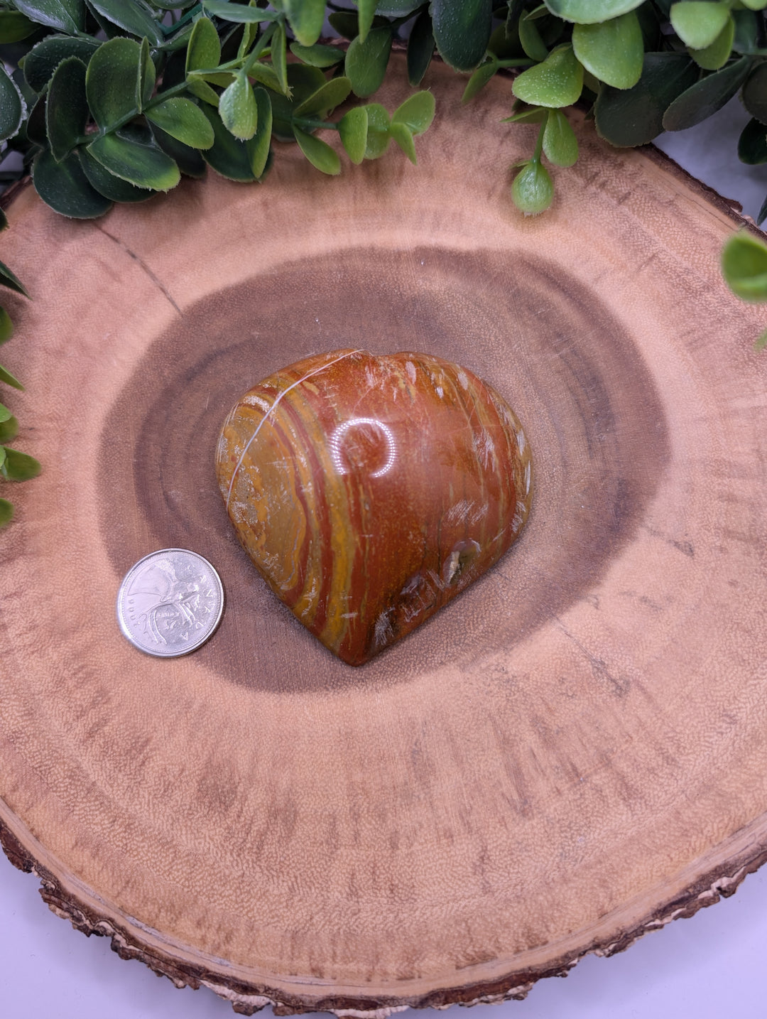 Petrified Wood Heart