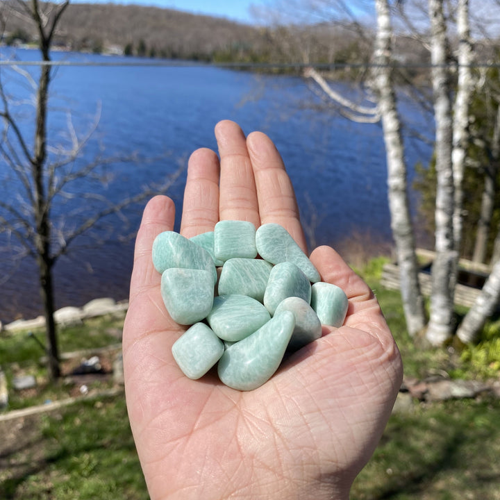 Amazonite Tumbled Healing Stones