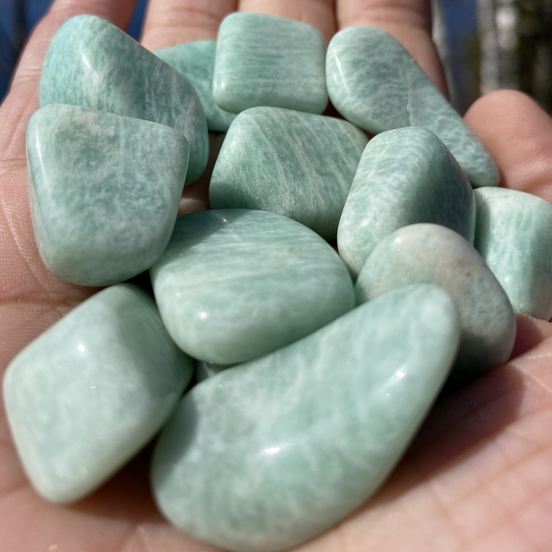 Amazonite Tumbled Healing Stones