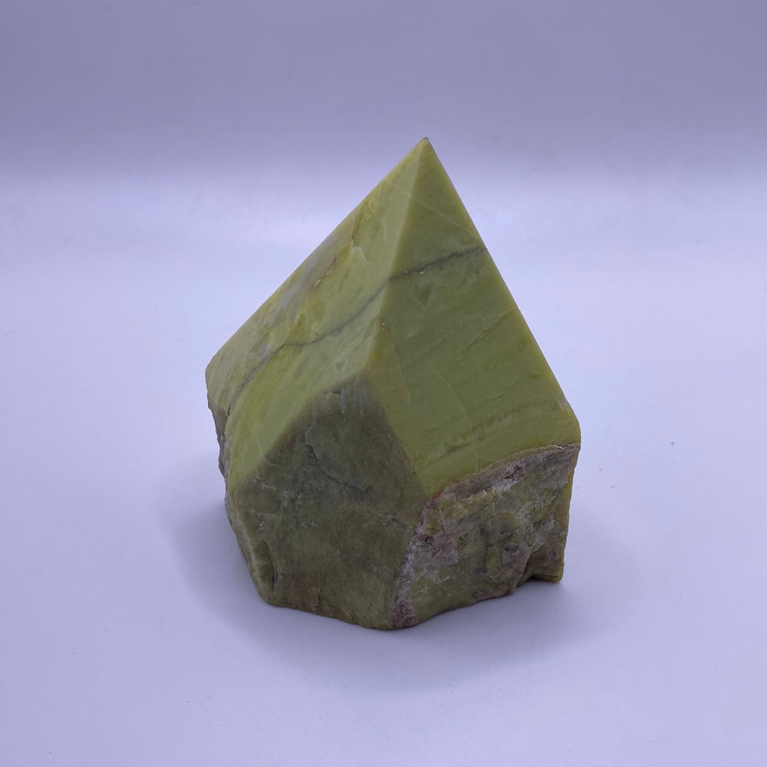 Serpentine Top Polished Point