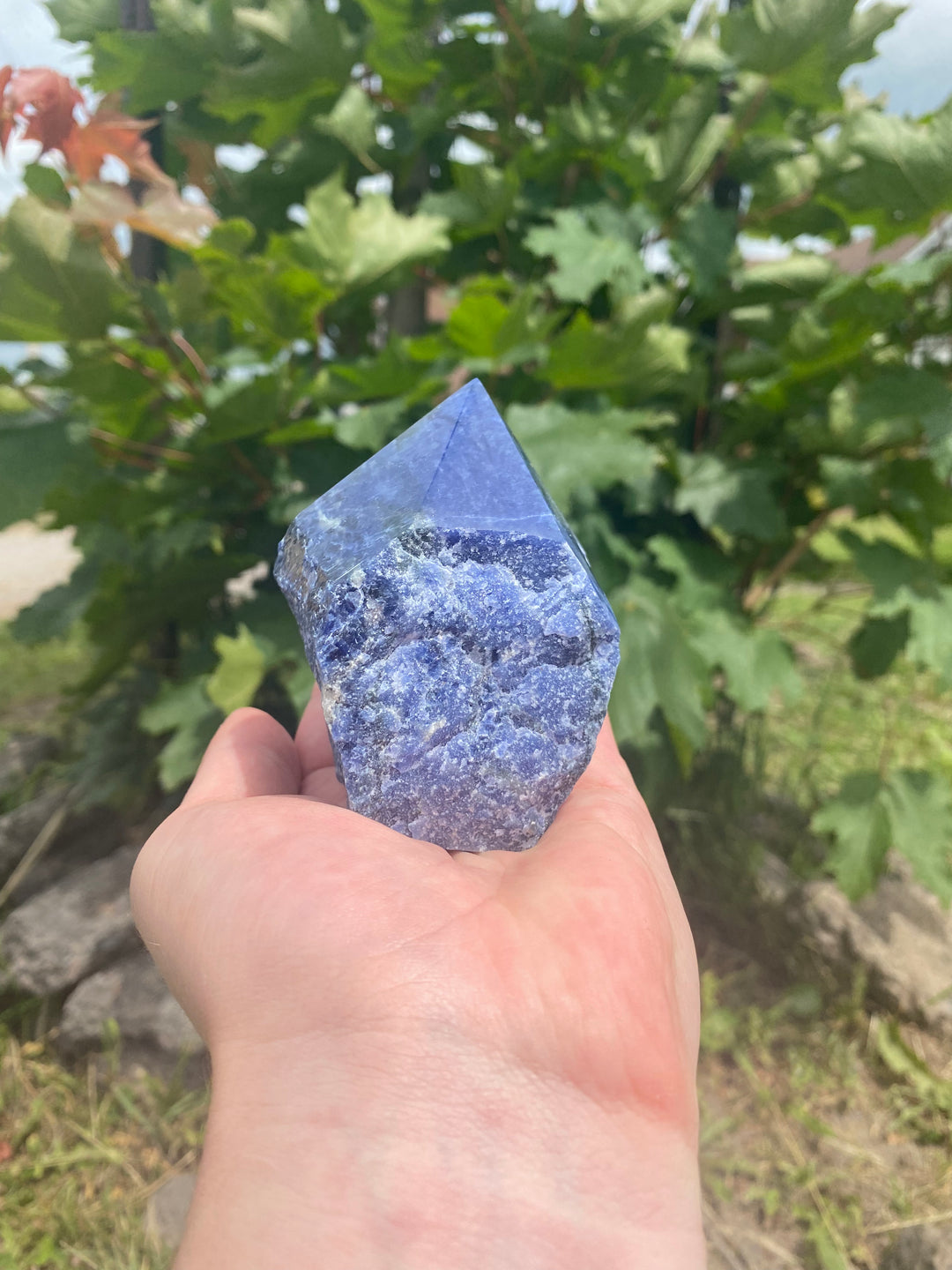 Sodalite Top Polished Point (L)