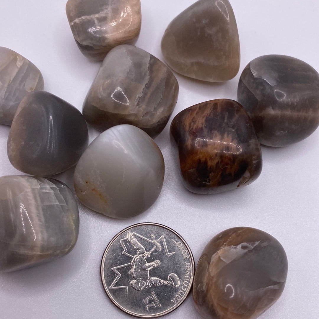 Black Moonstone Tumbled