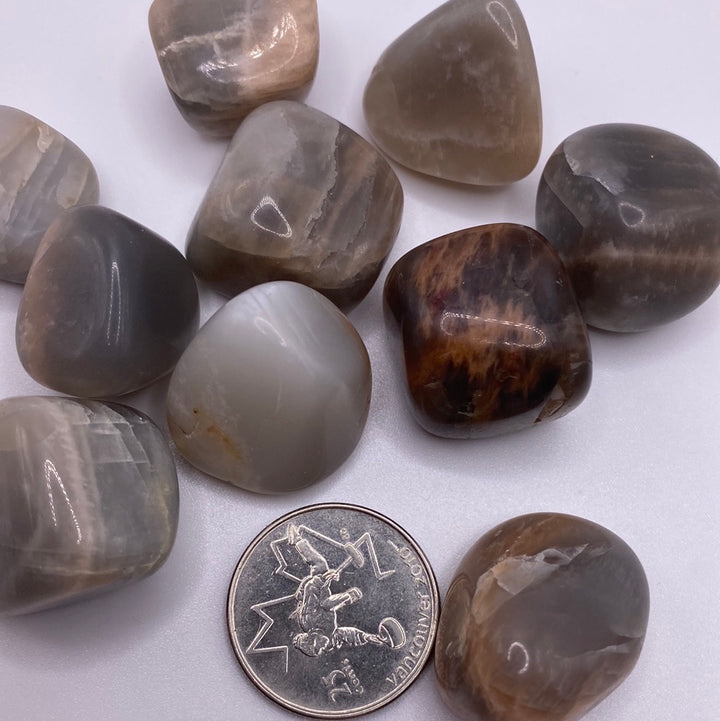 Black Moonstone Tumbled