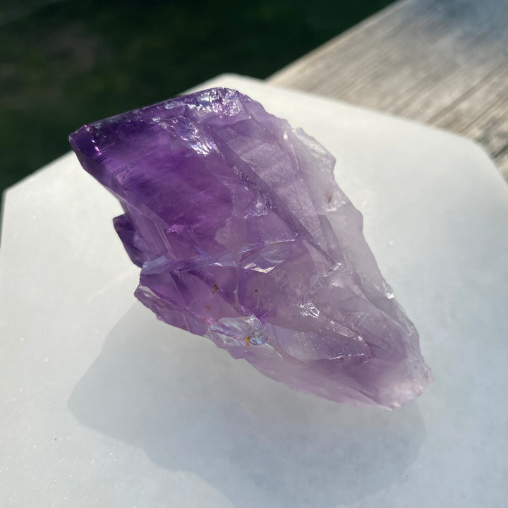 AAA Rough Amethyst Single Terminated Crystal (Item 8)