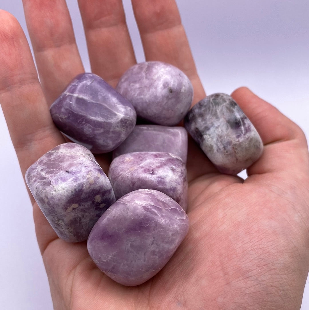 Lepidolite Tumbled Stones (lb)