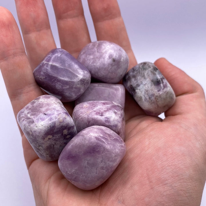 Lepidolite Tumbled Stones (lb)