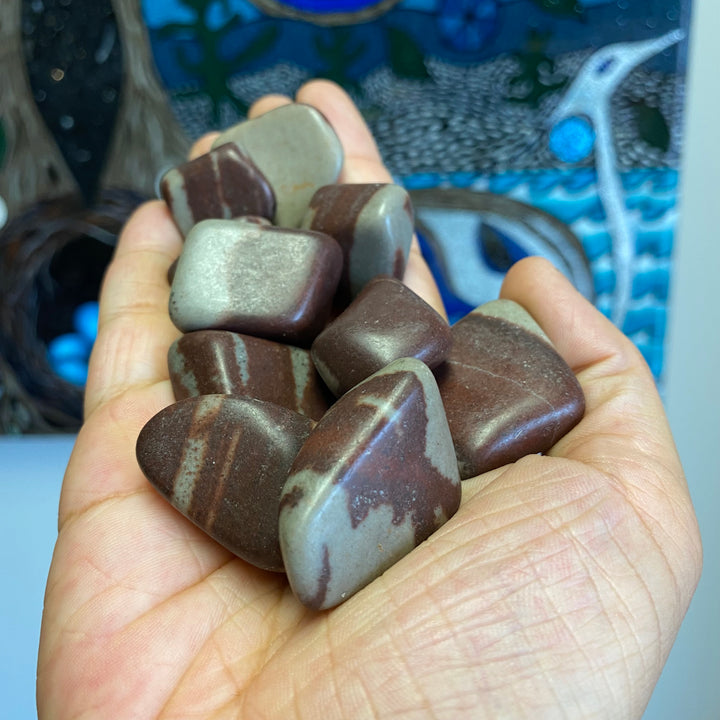 Shiva Lingham Tumbled Stones
