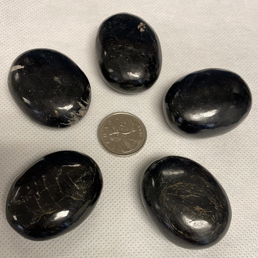 Black Tourmaline Palm Stone (5 Pack)