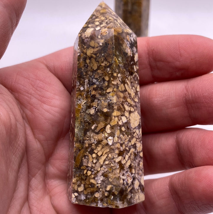 Coral Fossil 2 1/2” Polished Point