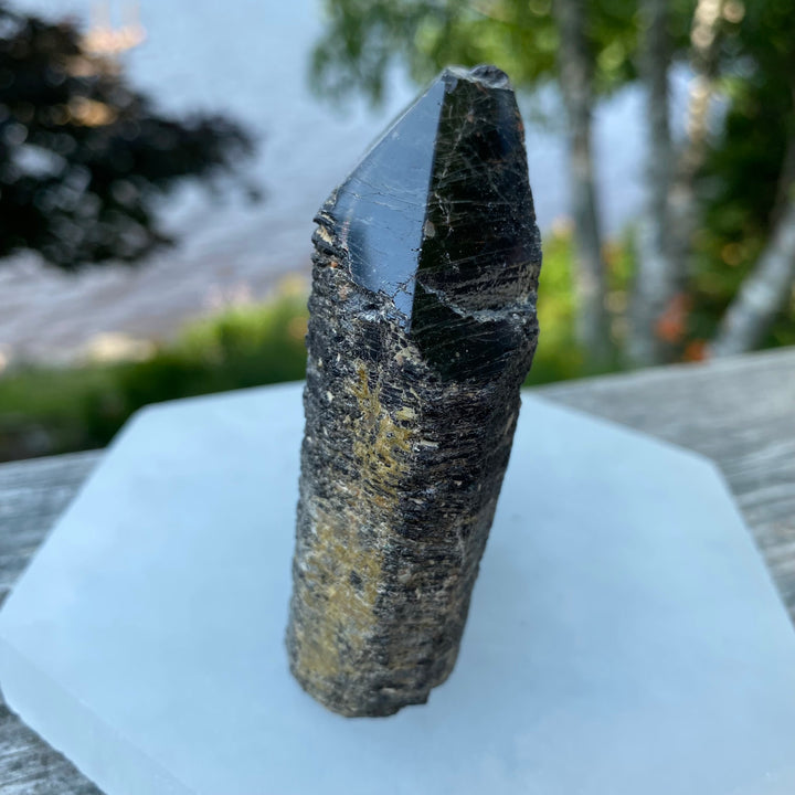 Black Tourmaline Top Polished Point (Item 5)